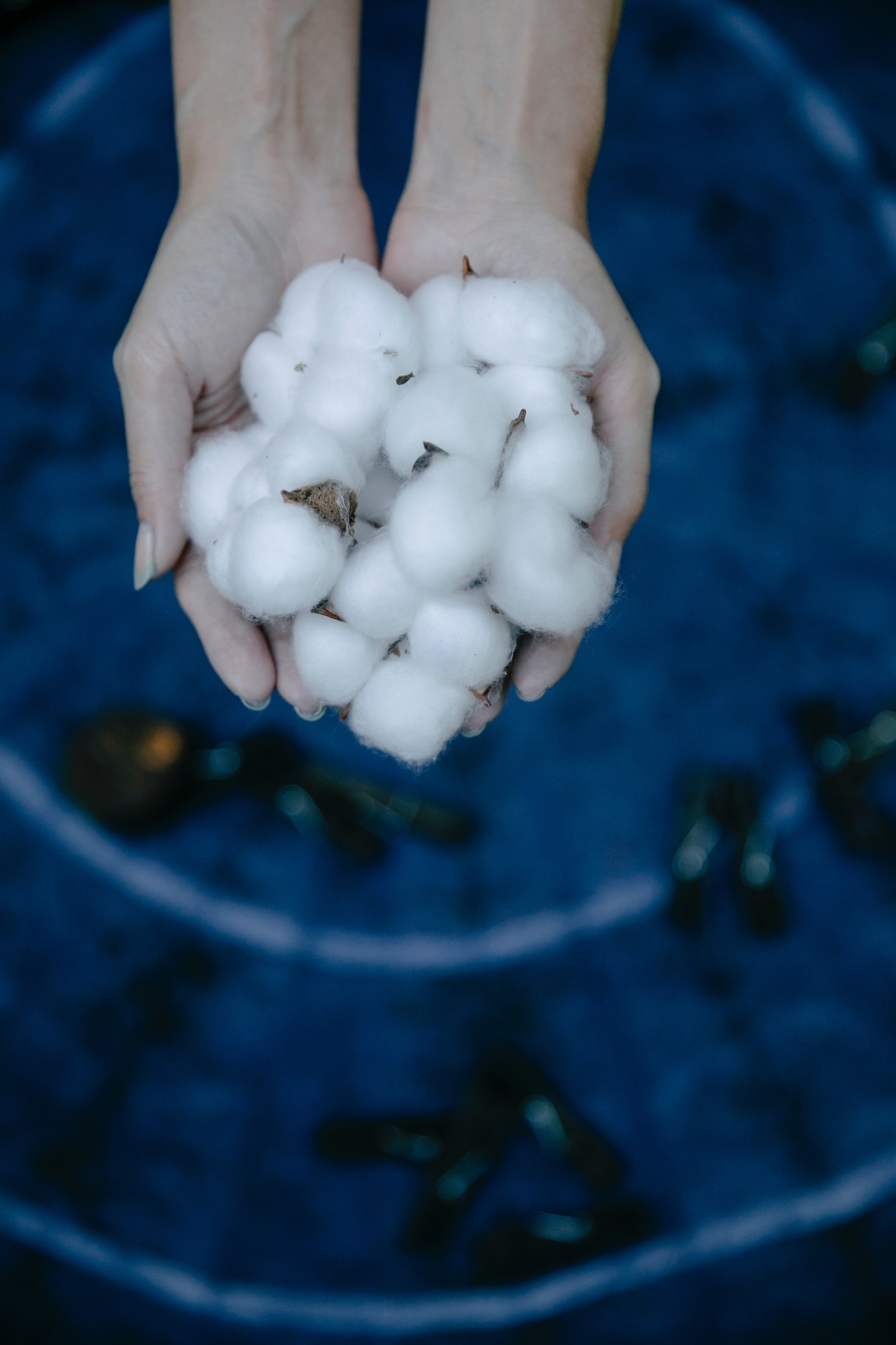 Turkish Cotton